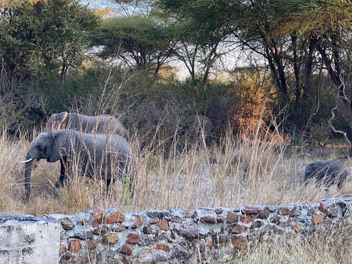 Big 5 Toro Lodge Kasane Exteriör bild