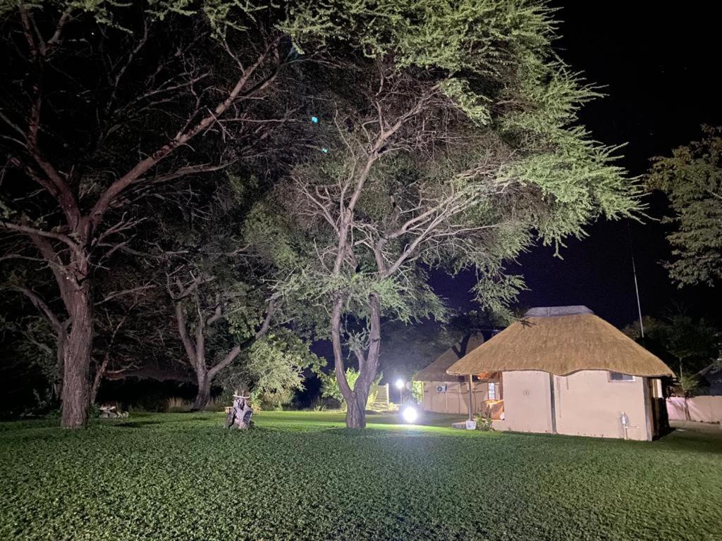 Big 5 Toro Lodge Kasane Exteriör bild